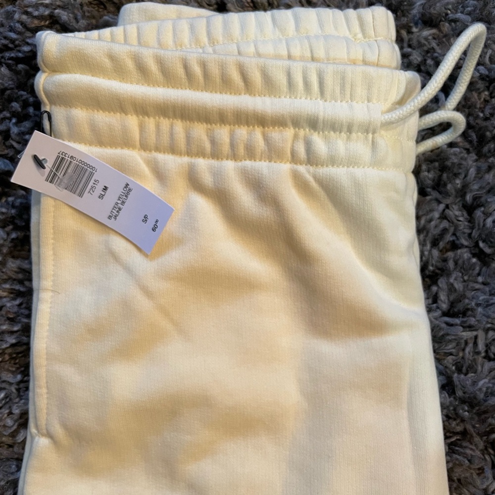 Aritzia TNA Airy AF sweatpants